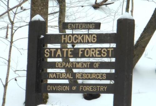 Entering Hocking Forest